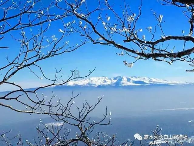 住院报销需要提供什么？游戏画面
