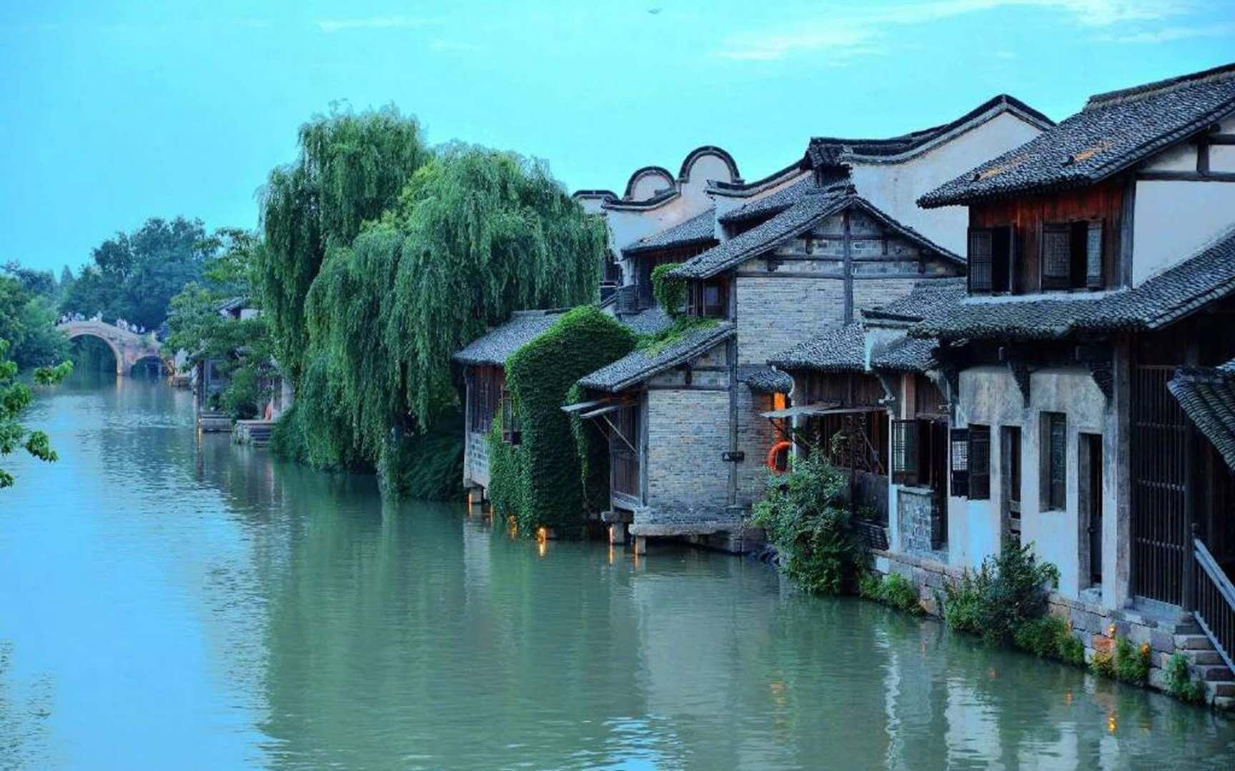 逗小猴开心系列204