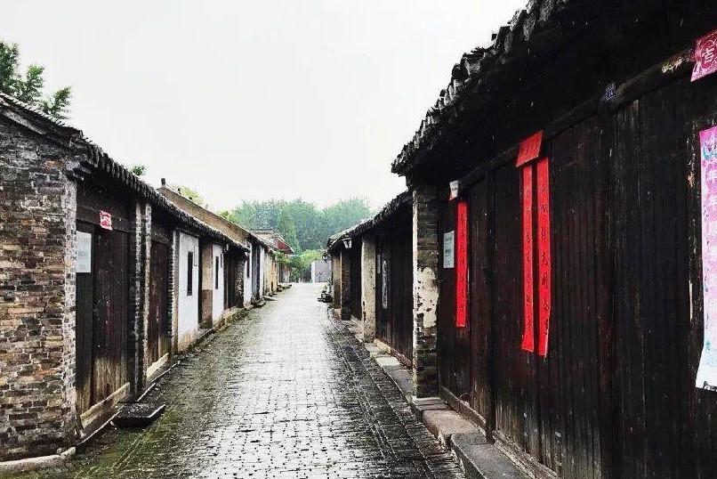 逗小猴开心系列198
